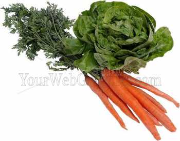 photo - carrots-lettuce-jpg